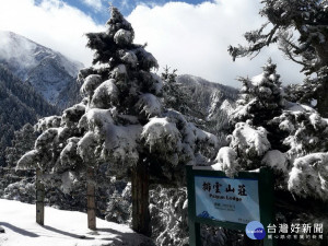 玉山地區排雲山莊於3月8日晚間20時19分再降雪，截至3月9日早上6時積雪已達10cm左右