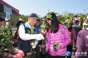 苗縣植樹節活動　3千株苗木免費索取