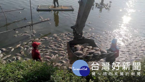 2月幾波寒害造成雲林沿海虱目魚及吳郭魚損害災情，縣府積極向中央爭取提報農業天然災害救助。（記者陳昭宗翻攝）