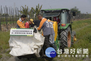 新式馬鈴薯收穫機每小時收成作業面積達1分地以上，有效解決農村勞力不足困境。（記者陳昭宗翻攝）