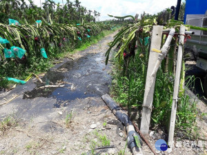 肥水不落外人田　屏縣推廣畜牧業沼液灌溉獲成效