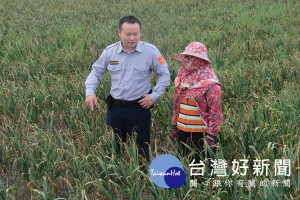 東屯所員警見農民也在田園間巡視，主動上前關懷指導防竊技巧，農民紛紛讚許真是「農民ㄟ好朋友」。（記者陳昭宗拍攝）