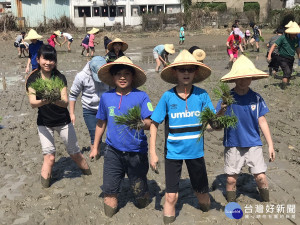 學生們赤腳踩在冰涼泥巴地，體驗辛勤農民插秧感受，開心度過難忘的一天。（圖／記者黃村杉攝）