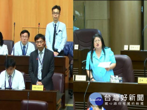 市議員謝彰文表示，台鐵地下化遲遲不能動工，擔心成為「劫運」工程。(圖/翻攝桃園市議會網站)