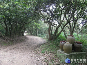 桃園市蘆竹區五酒桶山公園。