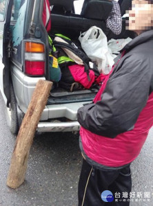 婦人登山攬勝隨意撿拾林班地木頭 ，不意卻是珍貴林木而誤觸法網 。