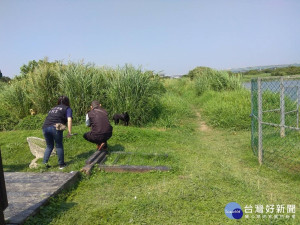 保護華江雁鴨公園野鳥安全　北市動保處成立專案小組巡查