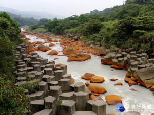 金山磺溪溪水呈現乳白色，稽查人員經地毯式的溯溪搜索後，查獲污染元凶是陽明山水會館，依水污染防治法告發。（圖／環保局提供）