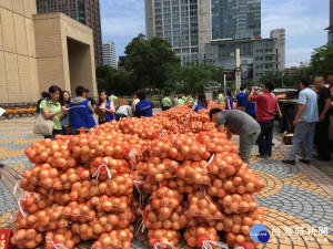 國產洋蔥產量過剩　北市府踴躍團購助農民