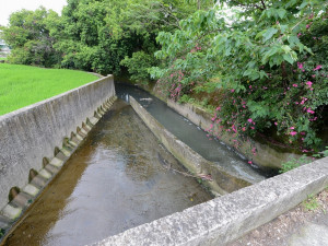 解決遇雨即淹問題，桃園市政府水務局進行平鎮區新光路四段雨水下水道工程 。