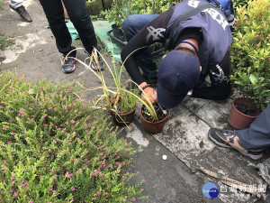 針對可能積水而孳生病媒蚊的的桶缸甕盆、花瓶、各式底盤、杯瓶碗罐盒、帆（塑膠）布、輪胎等容器詳加檢查清除積水。（圖／高雄市環保局提供）