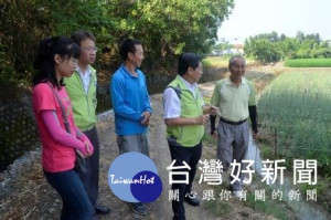 康乃馨產量過盛 嘉義市府協助花農促銷