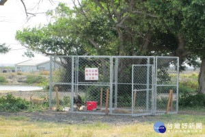 七股區十份里將軍廟一帶大型移動式捕狗籠。(圖/動保處提供)