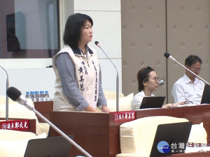 樹林頭遊具受歡迎 議員：數量多樣性再加強