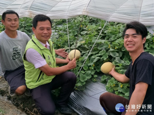 左起返鄉青農周家鵬（哥哥）、花壇鄉長李成濟、與弟弟周家慶，所用心栽種的天蜜哈蜜瓜，現在正值採收期。圖／記者鄧富珍攝