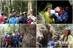 蘭陽博物館暑期營隊要帶領民眾深遊原鄉部落和棲蘭山迷霧森林。（圖／蘭陽博物館提供）