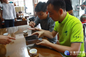 陸茶商參訪南投好茶，品評30年的老茶。（記者扶小萍攝）