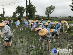 朝陽學生下鄉協助農民。