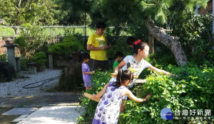 民眾摘採蝶豆花，並享受花草樹木環繞的大自然饗宴。（圖／福興南和休閒農業區提供）