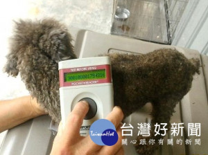 依據動物保護法規定，飼主應為家犬、家貓植入晶片辦理寵物登記，未登記處新臺幣3000元至15000元罰鍰，並按次處罰。（圖／動保處提供）