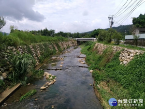 中市治溪防洪有成　台灣白魚復育良好