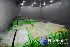 桃園市蔬菜儲藏設施，面積達1,000坪，規劃11個冷藏庫，冷藏庫約佔810坪。

