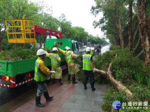 中颱瑪莉亞損路樹　北市工務局強力動員恢復市容