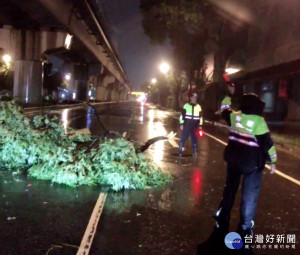 大埔派出所警民合作下將路樹移置路旁，排除障礙物淨空道路。