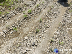 地表散落轉爐石廢棄物。（圖／高雄市環保局提供）