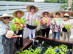 五股區獅子頭公共托老中心打造木作休閒風格的魚菜共生可食地景。（圖／景觀處提供）