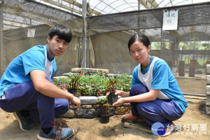 彭悅歆(右)與搭檔劉佳運(左)，努力苦練造園景觀技術，拼全國賽奪金。

