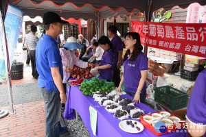 水里葡萄節紫色嘉年華登場，行銷水果品牌「黑紫玉」葡萄。〈記者吳素珍攝〉