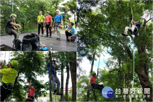 羅東林管處員工進行攀樹訓練。（圖／羅東林管處提供）