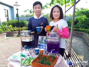 目前正值「蝶豆花」盛開，志工徐麗蓉夫婦特別將花朵摘取下來，自製成時下最夯的「蝶豆花」花草茶。（圖／圖書館提供）