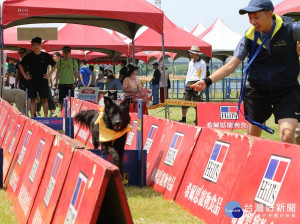 新北市動保處11日在蘆洲區蘆堤寵物公園舉辦「毛寶貝動次動寵物運動會」。（圖／動保處提供）