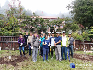 動手來護櫻花樹 棲地改善最重要