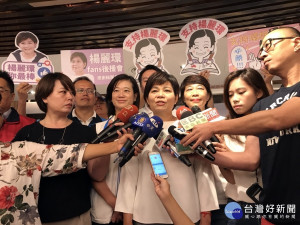 各黨派與近千名群眾簇擁   楊麗環宣布參選桃園市長