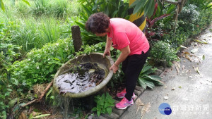 預防登革熱　中市呼籲民眾落實「巡、倒、清、刷」4步驟