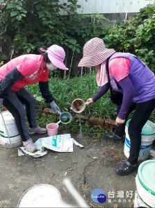 為防範本土登革熱疫情擴散，台中市政府2日已針對個案居住地400公尺擴大疫調，共訪查907戶，並查獲及清除89個孑孓陽性容器，今日再前往個案住家周邊執行戶內外噴藥。（圖／台中市衛生局）