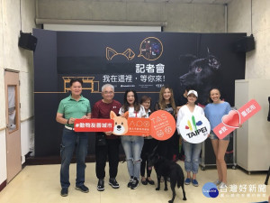 幫毛小孩找個家　北市動物之家祭出認養九大好禮