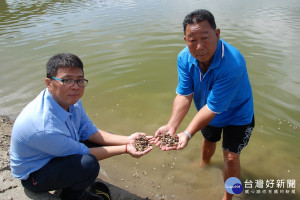 南縣區漁會總幹事陳崇德(左)手捧文蛤說死傷慘重，他和受害漁民認為恐將影響中秋節供貨量。(圖/記者黃芳祿攝) 