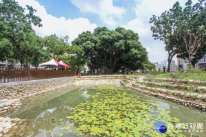 中市茄苳樹王文化生態公園啟用　人樹共生讓歷史延續