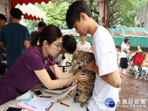 興大獸醫院進行犬貓義診。林重鎣攝