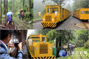 太平山國家森林遊樂區的蹦蹦車將復駛。（圖／陳木隆攝）