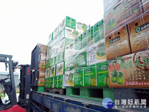 蔴鑽農坊麻豆文旦裝貨櫃賣出國。