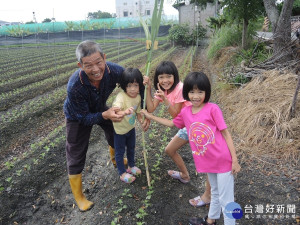 中秋節農田出現「土地公柺杖」　農民：為求豐收方便土地公巡視田間