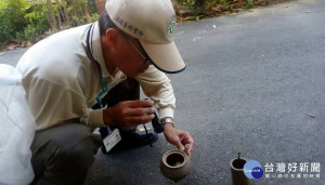 疾管署表示，新增的台中市本土登革熱個案分別居住東區富仁里及太平區新光里，兩人發病日相同，且潛伏期間均有東區某國小活動史，研判為一起群聚事件，感染源與該國小周圍相關。（圖／衛福部疾管署）