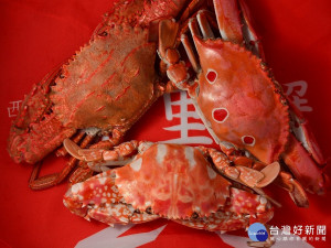 萬里蟹嘗鮮的季節，饕客陸續湧進野柳漁港及龜吼漁夫市集大啖萬里蟹，特別在10月每例假日開放翡翠灣停車場供民眾免費停車。（圖／漁業處提供）

