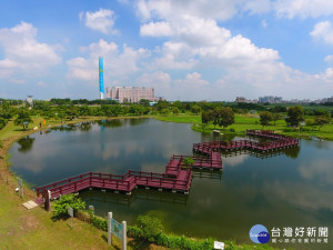 台灣水雉育雛，荷苞嶼濕地公園成了婚紗拍攝秘境