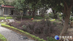 廢墟變花園　羅友倫故居改建開放參觀